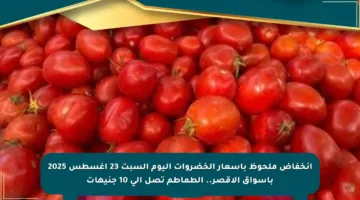 انخفاض ملحوظ بأسعار الخضروات اليوم السبت 23 أغسطس 2025 بأسواق الأقصر.. الطماطم تصل إلى 10 جنيهات